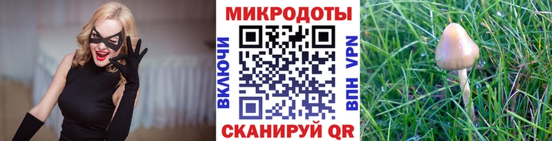 купить наркотики цена Ачхой-Мартан Галлюциногенные грибы Psilocybe