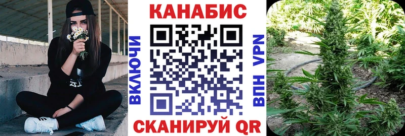Шишки марихуана планчик Ачхой-Мартан